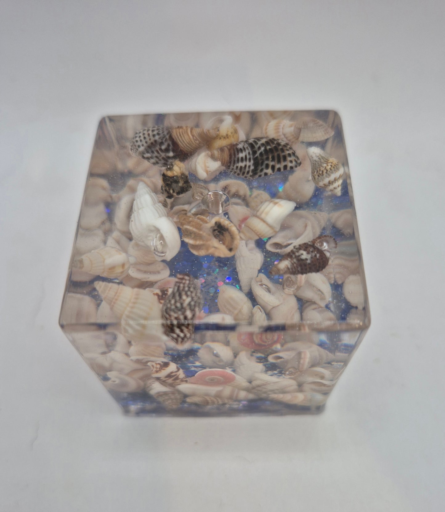 Shell Incense Holder